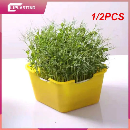 1/2PCS Sprout Planting Pot Bean Sprouter Seedling Tray Wheat Grass Growing Germination Healthy Sprouts for Salads Home Garden